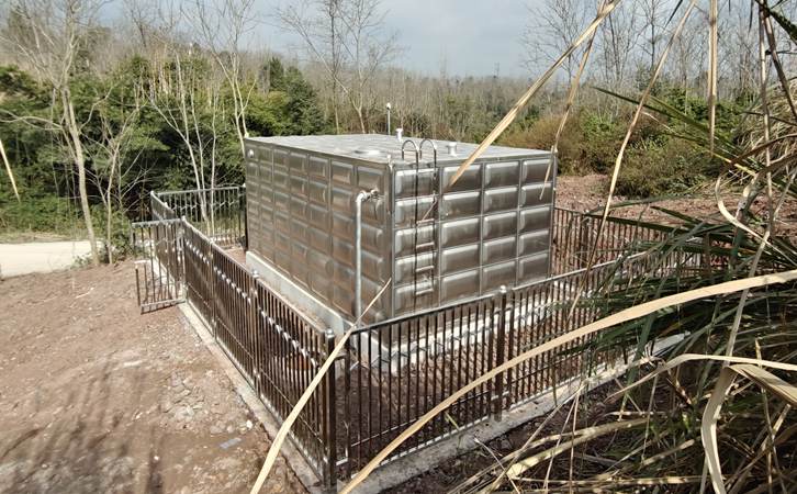 1775182026875438.jpg 302.jpg